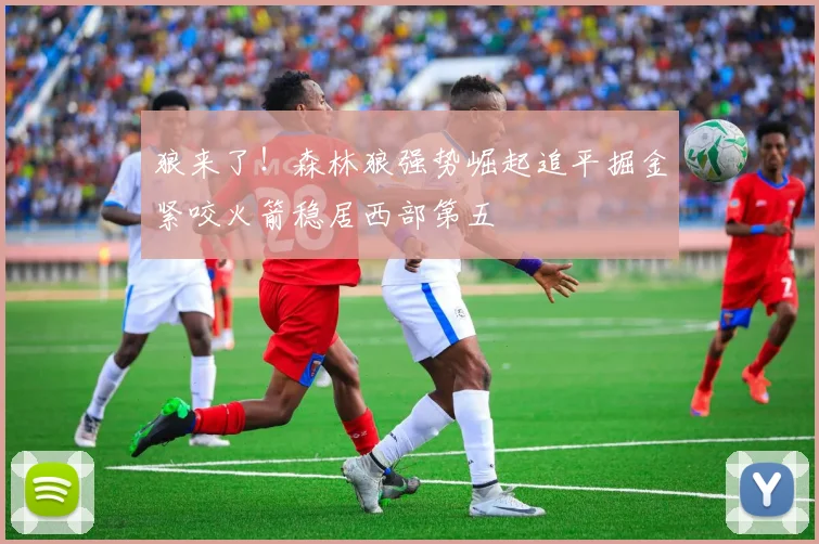 狼来了！森林狼强势崛起追平掘金紧咬火箭稳居西部第五